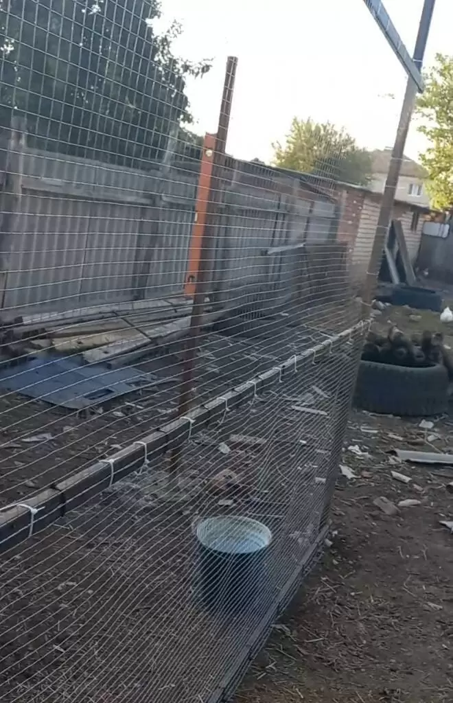 Сетка сварная оцинкованная, ячейка 20х20 мм, толщина 0,6 мм, (рулон 1х25 м): купить оптом и в розницу в интернет магазине Сталь Крепеж - размеры, цены, характеристики. Сетка сварная оцинкованная, ячейка 20х20 мм, толщина 0,6 мм, (рулон 1х25 м) оптом и в розницу на сайте Сталь Крепеж