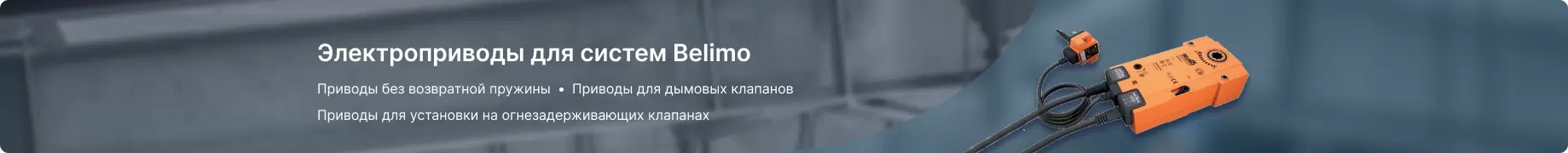 Belimo Belimo