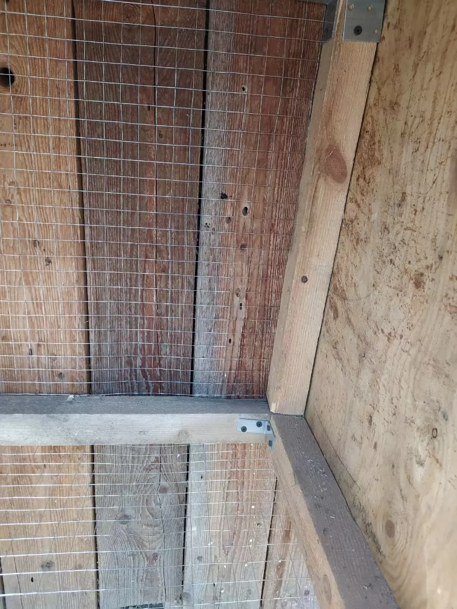 Сетка сварная, ячейка 20х20 мм (рулон 1х25 м) толщина 0,8мм, оцинкованная: купить оптом и в розницу в интернет магазине Сталь Крепеж - размеры, цены, характеристики. Сетка сварная, ячейка 20х20 мм (рулон 1х25 м) толщина 0,8мм, оцинкованная оптом и в розницу на сайте Сталь Крепеж