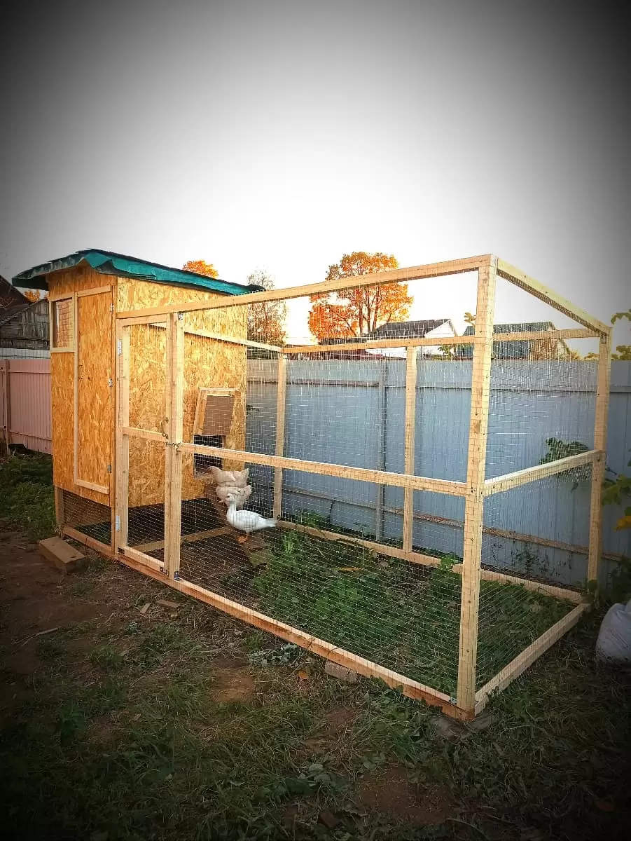 Сетка сварная, ячейка 25х25 мм (рулон 1х25 м) толщина 0,8мм, оцинкованная: купить оптом и в розницу в интернет магазине Сталь Крепеж - размеры, цены, характеристики. Сетка сварная, ячейка 25х25 мм (рулон 1х25 м) толщина 0,8мм, оцинкованная оптом и в розницу на сайте Сталь Крепеж